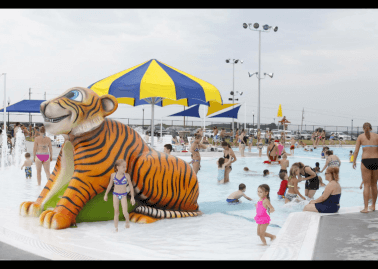 Kids and parents swimming in pool with a large orange tiger sculpture